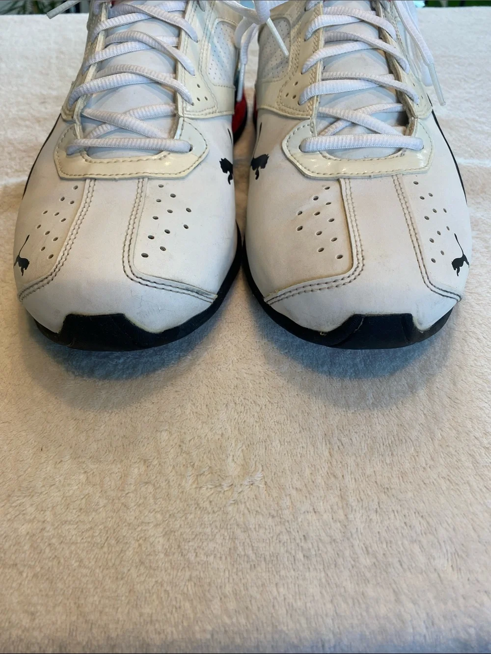 Puma tazon fm